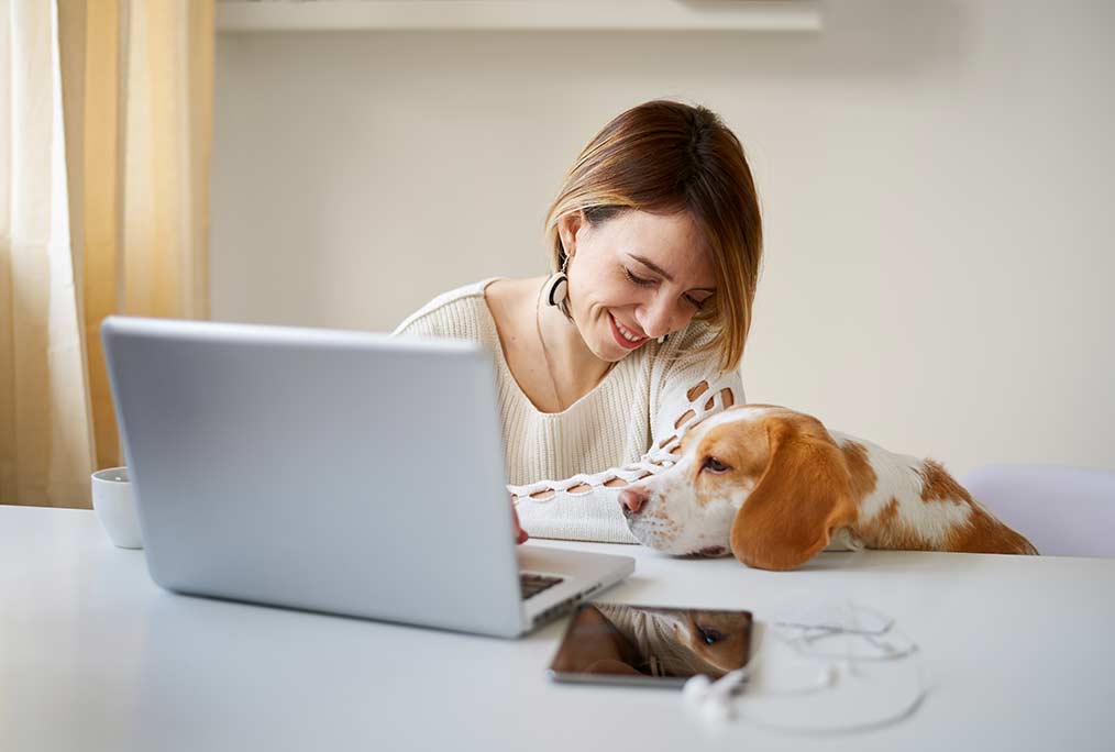 Vétérinaire pour téléconseils Dijon