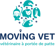 MOVING VET