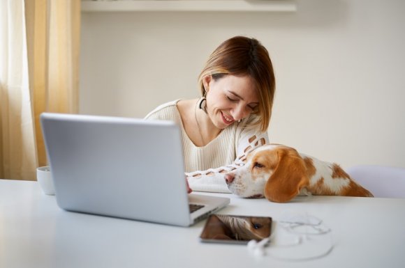 Consultation avec un vétérinaire d'urgence en appel Visio Dijon 